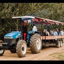 Tractor for cherry picking