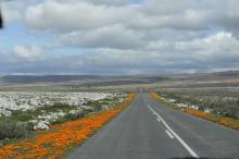 Namaqualand